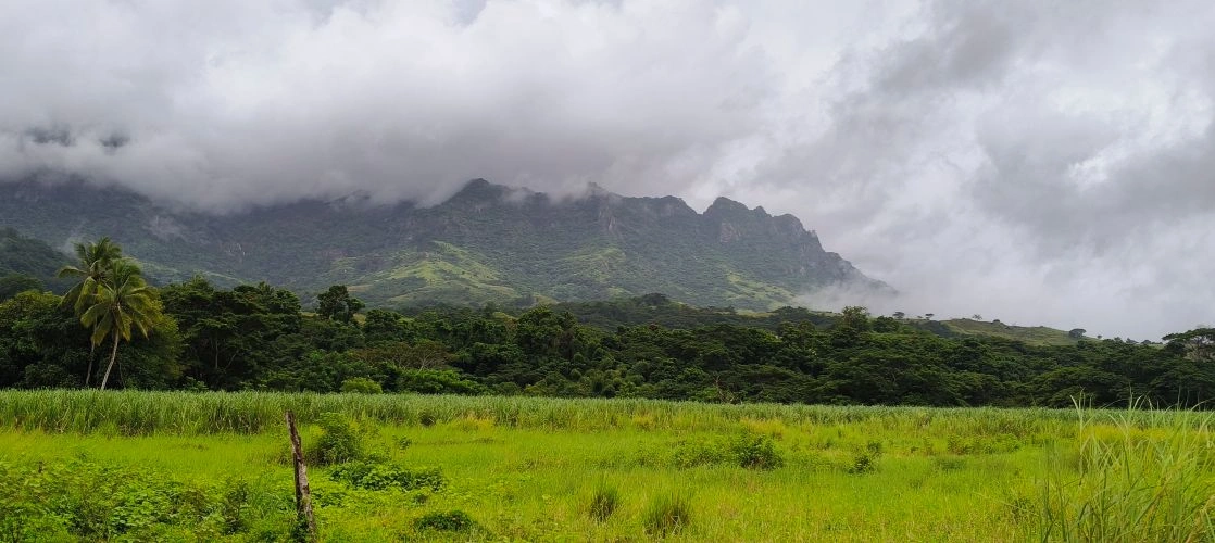 best of nadi sightseeing tour