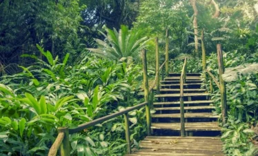 discover best of nadi sightseeing tour