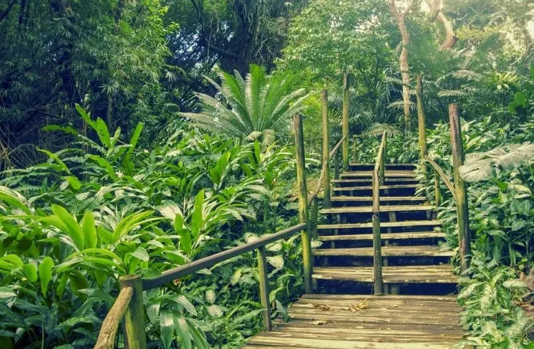 discover best of nadi sightseeing tour