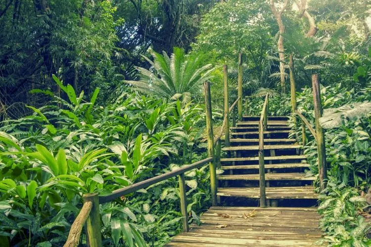 discover best of nadi sightseeing tour