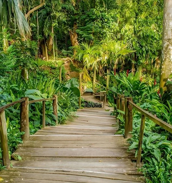 nadi sightseeing tour
