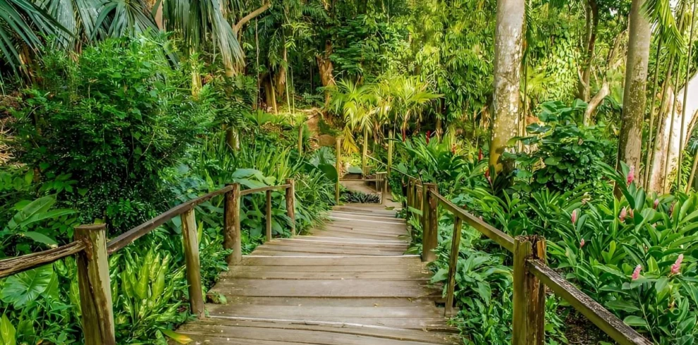 Best Of Nadi Sightseeing Tour nadi sightseeing tour