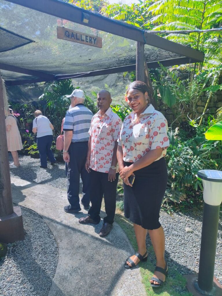Explore Fiji's Must See Attractions With Local Tour Operators: All You Need To Know