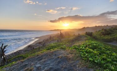 coral coast tours fiji