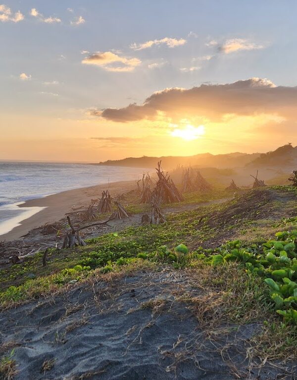 coral coast tours fiji