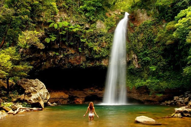 Explore Fiji's Must See Attractions With Local Tour Operators: All You Need To Know