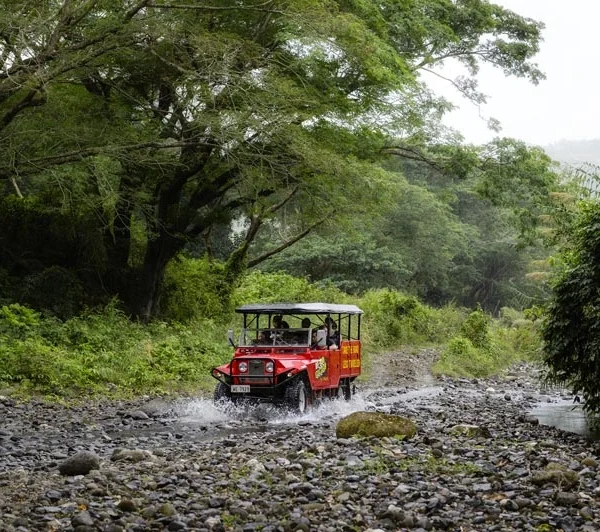 Fiji Off Road Adventure