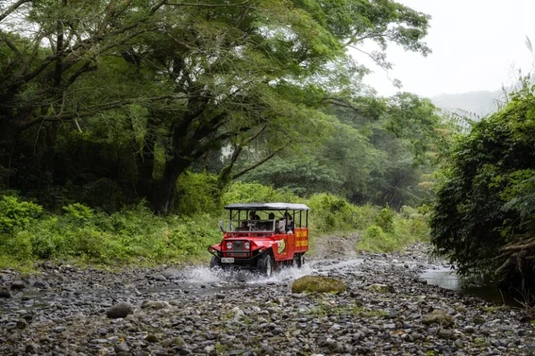Fiji Off Road Adventure