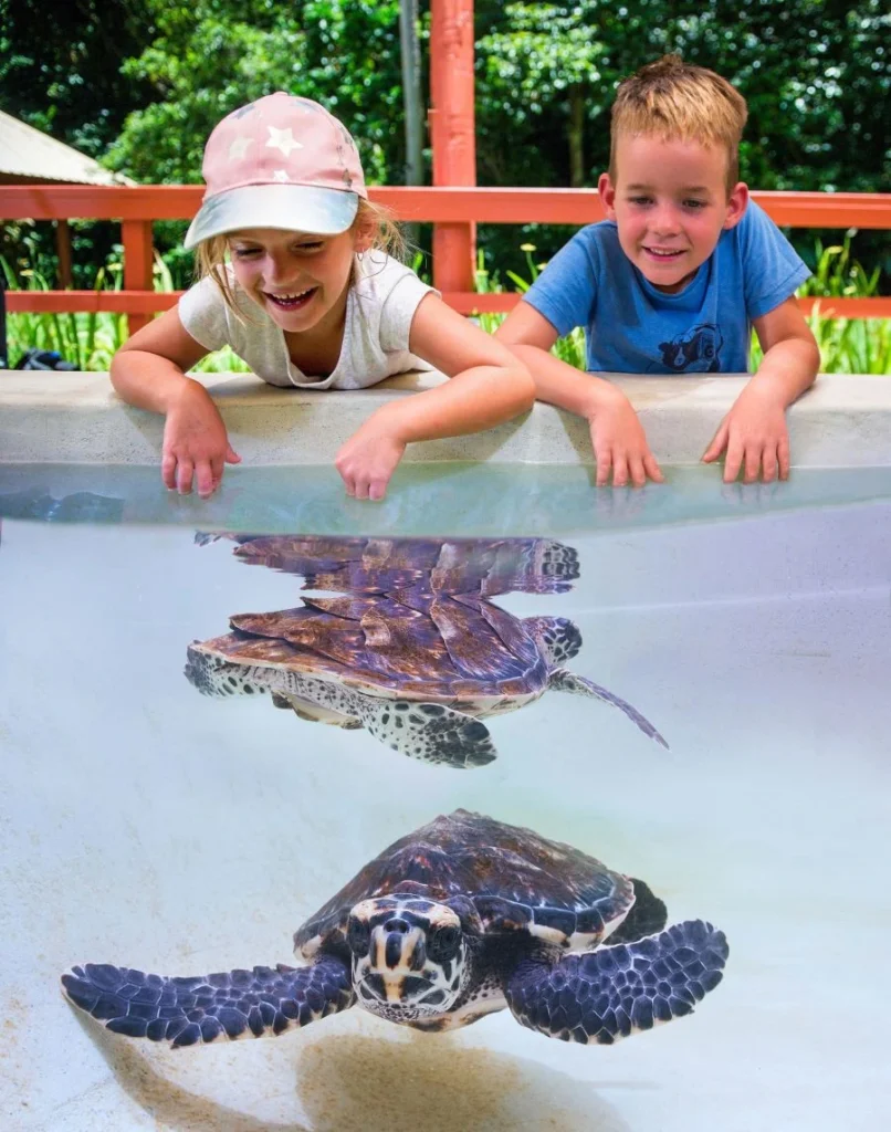 Kula Wild Adventure Park Fiji: A Family-Friendly Guide to Kula Eco Park