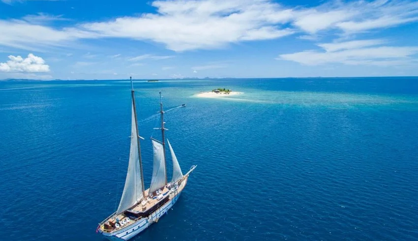 Whale's tale fiji day cruise