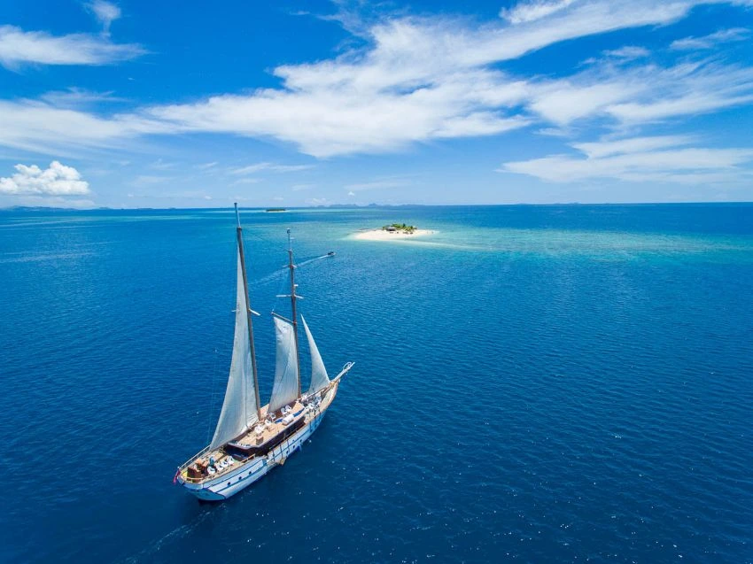Whale's tale fiji day cruise
