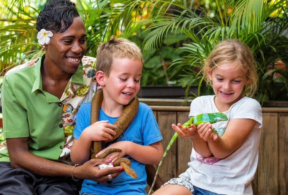 kula wild adventure park fiji