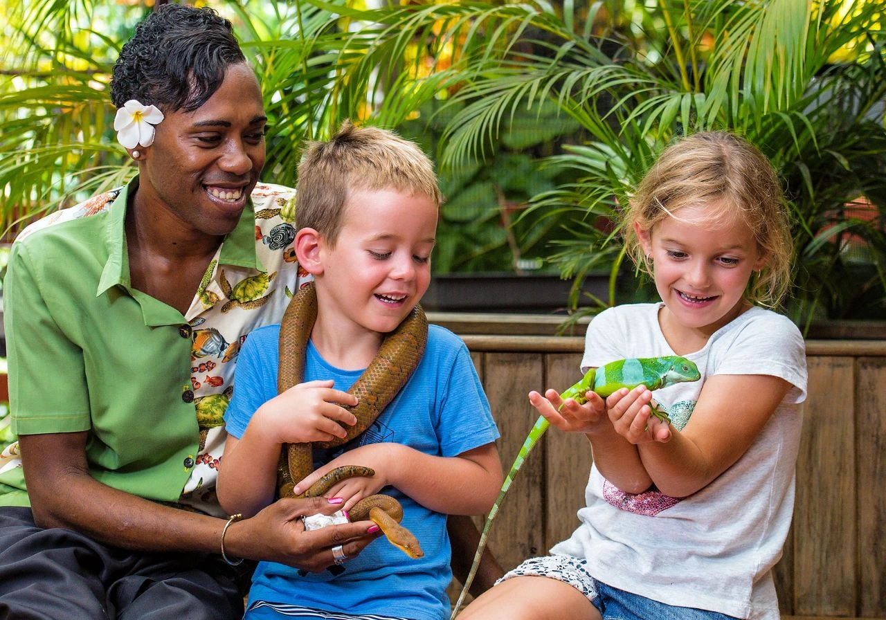 kula wild adventure park fiji