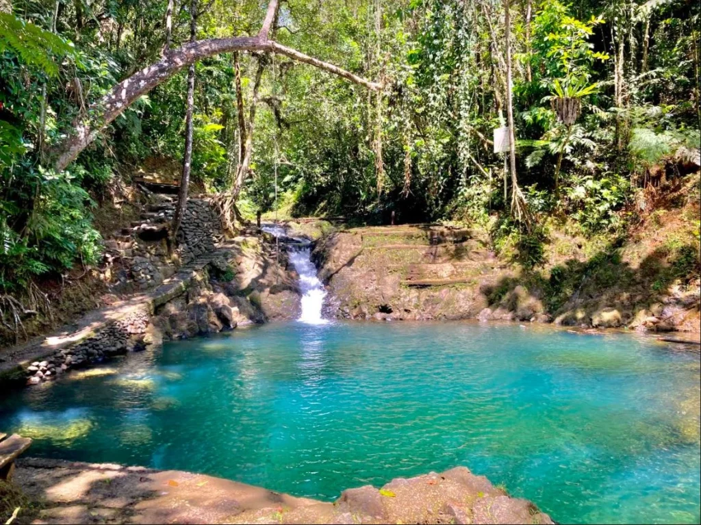 Colo-I-Suva Forest Park Colo-I-Suva Forest Park