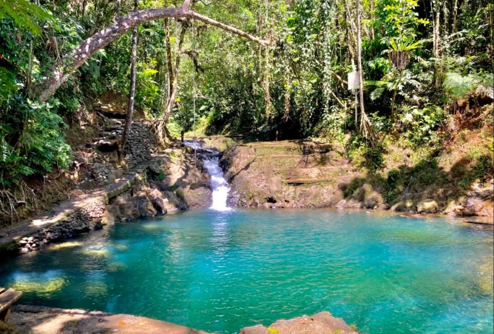 Colo-I-Suva Forest Park