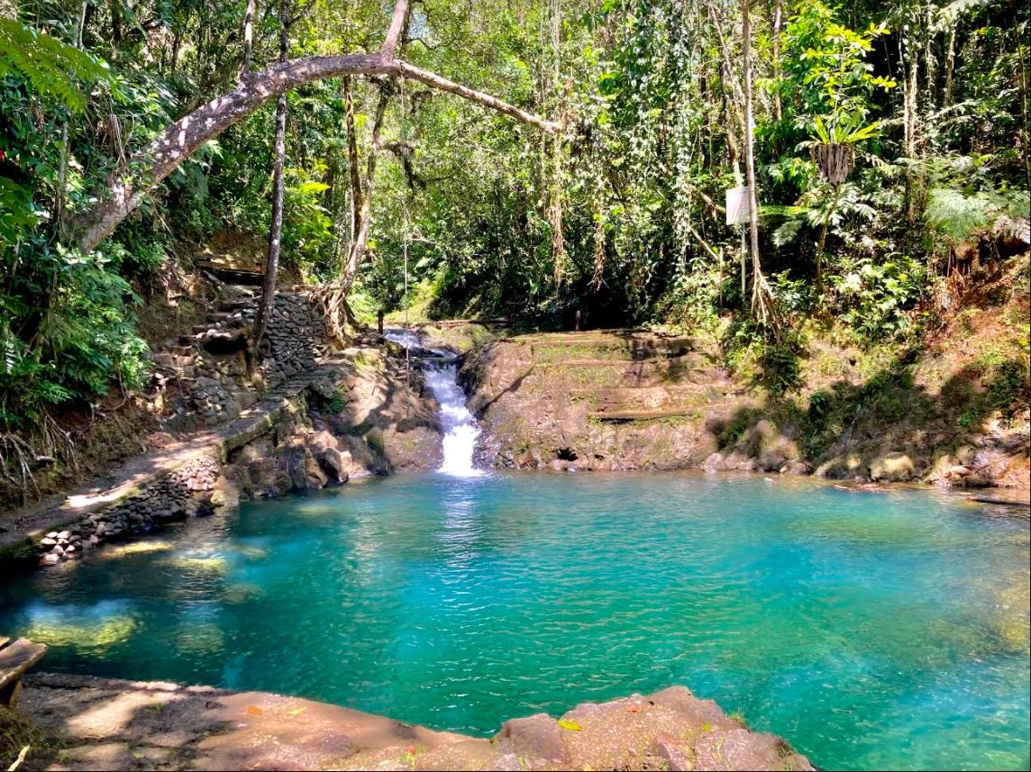 Colo-I-Suva Forest Park Colo-I-Suva Forest Park