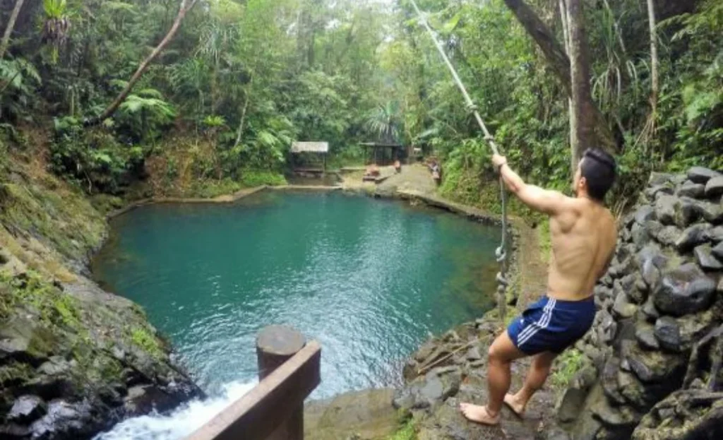 Colo-I-Suva Forest Park colo i suva rainforest park fiji